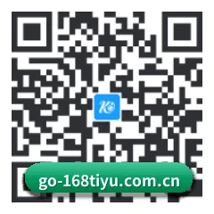 Android 全机型适配版 二维码